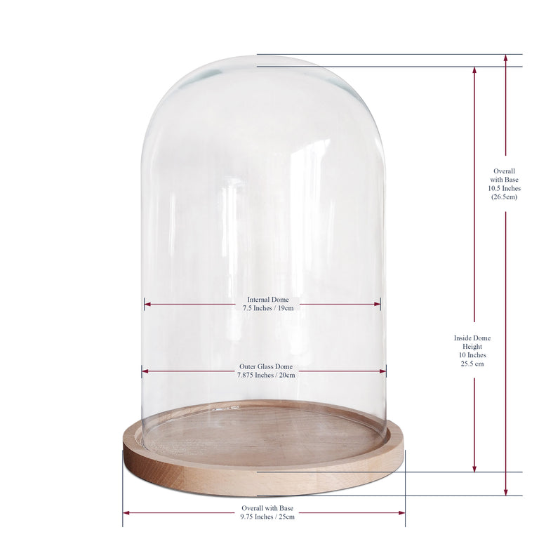 Edinburgh Casting Studio - Ultimate Couples Hand Casting Kit with Medium Dome