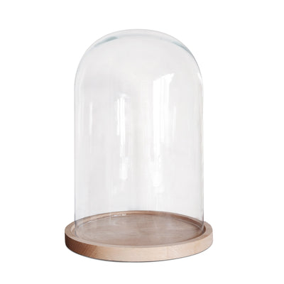 Edinburgh Casting Studio Elements - Glass Display Dome with Wooden Base 10 Inch - 8" x 10.25"